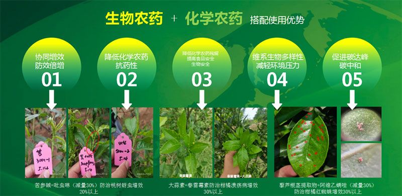 新朝陽在第六屆中國農藥行業(yè)市場和銷售高峰論壇做“生物農藥+化學農藥，引領植保市場未來”主題報告