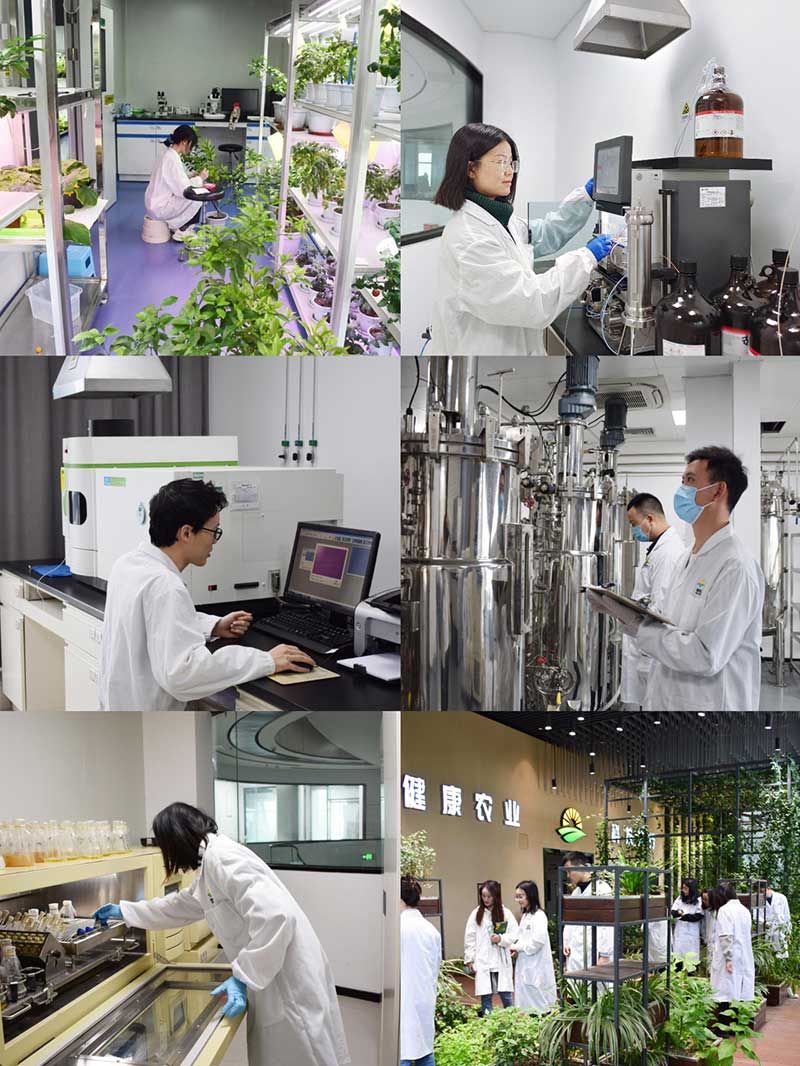 “全國(guó)科技工作者日”：推動(dòng)農(nóng)業(yè)綠色高質(zhì)量發(fā)展，新朝陽(yáng)科研人在路上