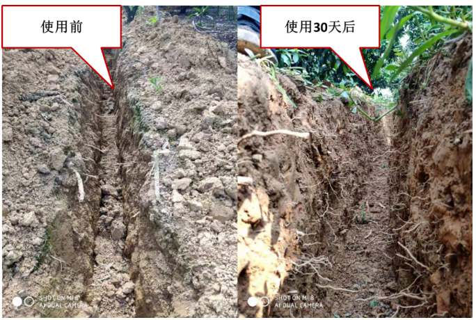 “土壤板結(jié)克星”：土壤調(diào)理劑你了解多少？