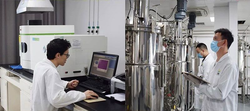 打造新朝陽生物科技“五張名片”，服務(wù)農(nóng)業(yè)高質(zhì)量發(fā)展！