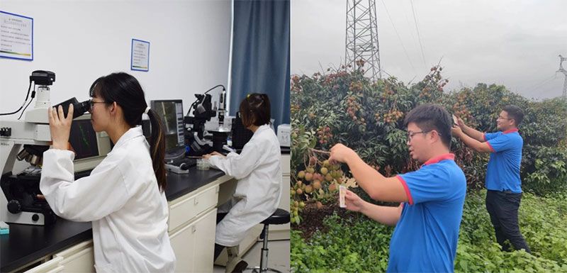 打造新朝陽生物科技“五張名片”，服務(wù)農(nóng)業(yè)高質(zhì)量發(fā)展！