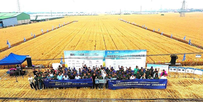 生物技術(shù)助力糧食單產(chǎn)顯著提升-“十四五”國家重點(diǎn)研發(fā)計(jì)劃成果應(yīng)用觀摩會(huì)圓滿落幕