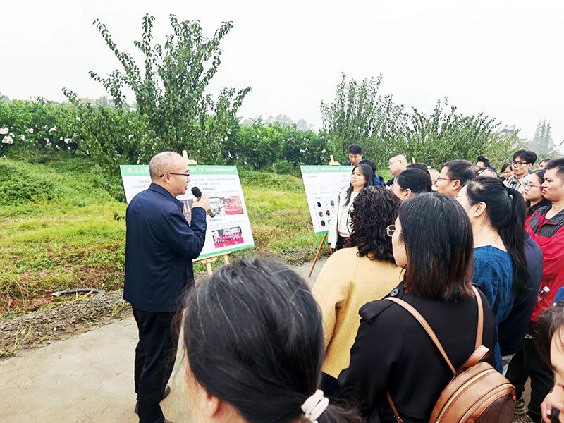 新朝陽(yáng)生物技術(shù)助力綠色防控，推動(dòng)柑橘產(chǎn)業(yè)綠色高質(zhì)量發(fā)展