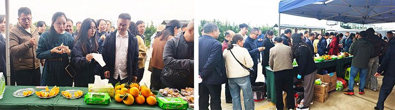 新朝陽(yáng)生物技術(shù)助力綠色防控，推動(dòng)柑橘產(chǎn)業(yè)綠色高質(zhì)量發(fā)展