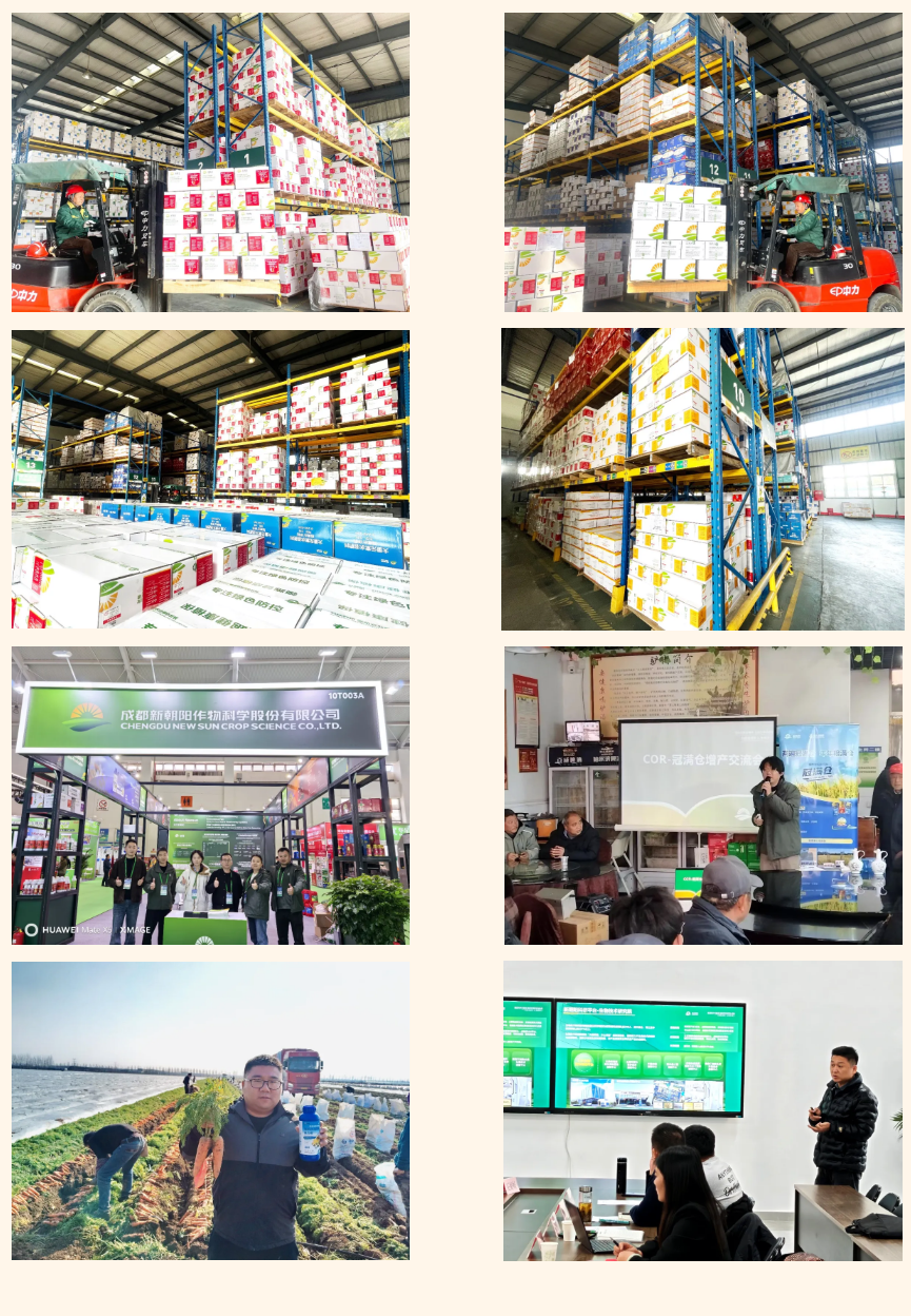 快馬加鞭戰(zhàn)春耕，馬年奮進(jìn)正當(dāng)時(shí)